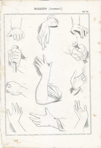 Belle arti disegno estremità - belle,