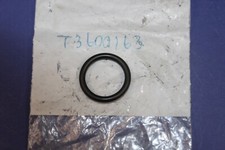 T3600163 Nuovo Original Triumph OR oring guarnizione toroidale albero tappo olio