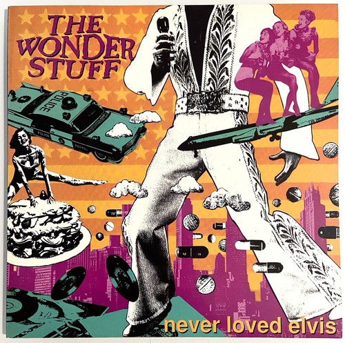 The wonder stuff never loved - the,