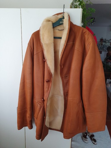 Montone sherling originale - montone,