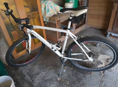 Mountain bike - mountain,