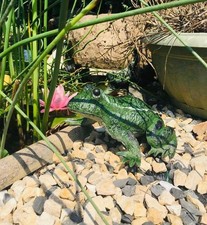 Rana in plastica, ornamenti