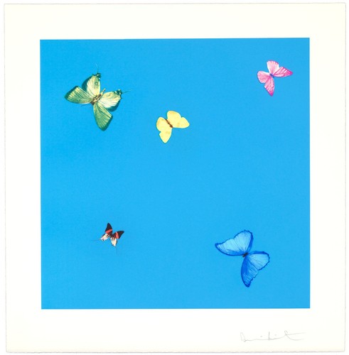 Damien hirst art - damien,