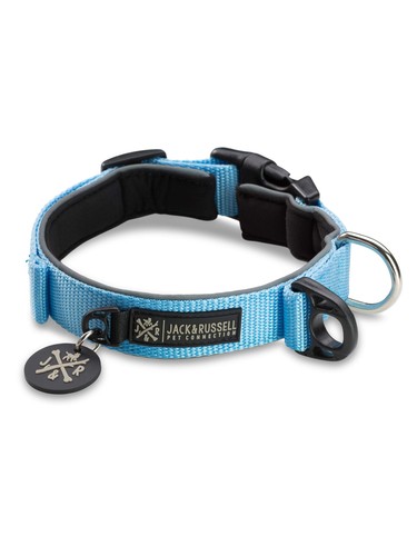Jack russell premium collare - premium,
