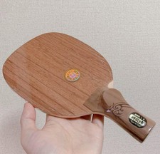 Racchetta da Ping Pong Back