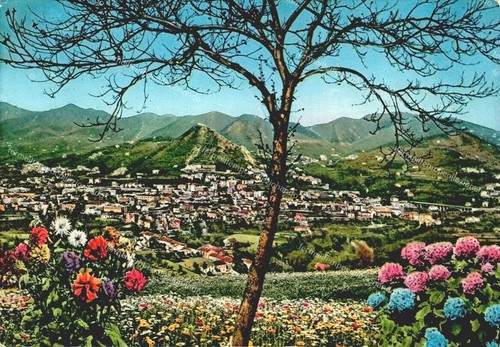 Dv743 cartolina cava - cartolina,