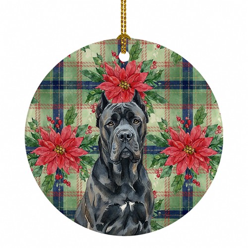 Cane corso natale - cane,