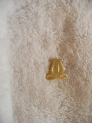 Spilla strumento a - , corde