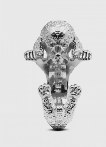 Anello febbre cane nove25 - febbre,