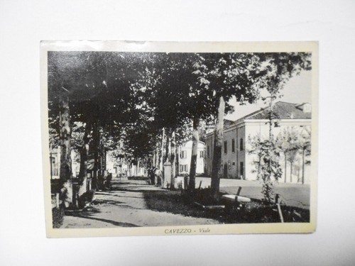 Cartolina cavezzo viale 1955 - cartolina,