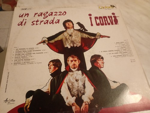 Corvi ragazzo di strada - corvi:,