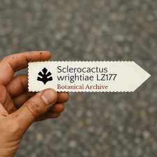 Sclerocactus wrightiae LZ177