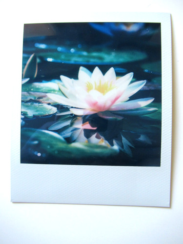 Araki polaroid originale - n., araki: