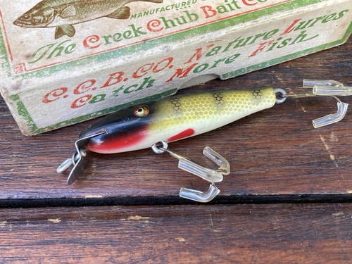 Esca pesca creek chub - creek,