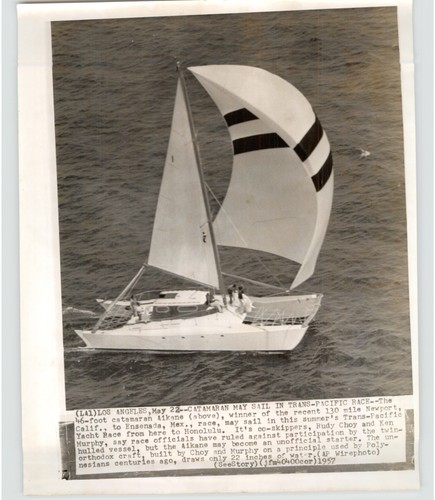 Alikane catamarano may sail - catamarano,