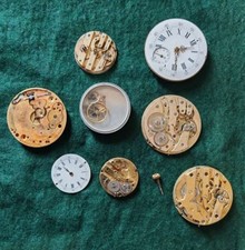 Lotto Alumni Meccanismi