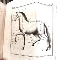 Bonsi Francesco. Istituzioni