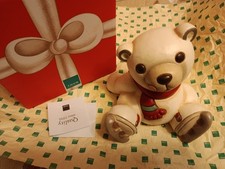 Meraviglioso orso Polare