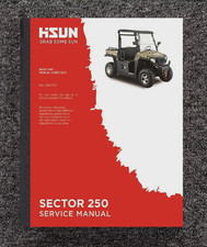 250 Side by Side 250 UTV Manuale di servizio riparazione adatto per Hisun Sector 250