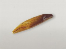 Cartolina Bering Sea Region