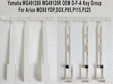 Yamaha WG491200 WG49120R