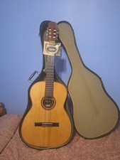 Giannini AWN 31 