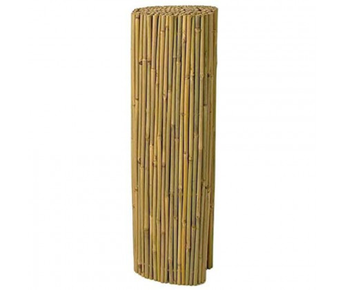 Arella bamboo bambù - arella,