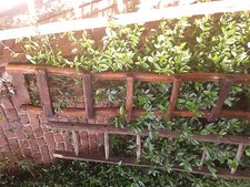 antica vecchia scala pioli arredo ornamentale 