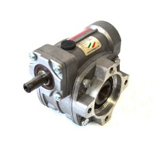 RIDUTTORE VITE SENZA FINE RI 28 P 1/10  FORO 14 LUBR. STM