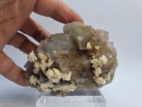 Minerali fluorite con - con, barite