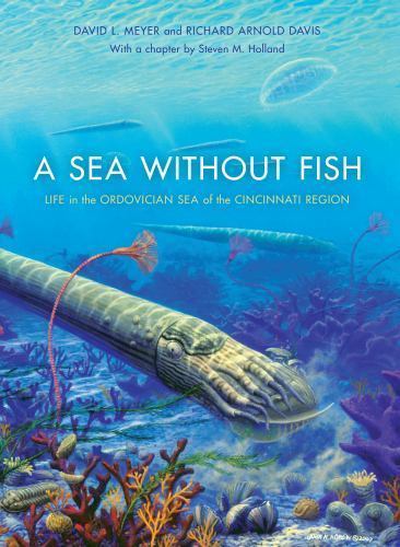 Sea without fish life - without, fish: