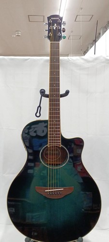 Chitarra acustica elettrica