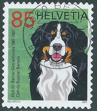 2007 SVIZZERA USATO CLUB DEL BOVARO BERNESE - US14-10