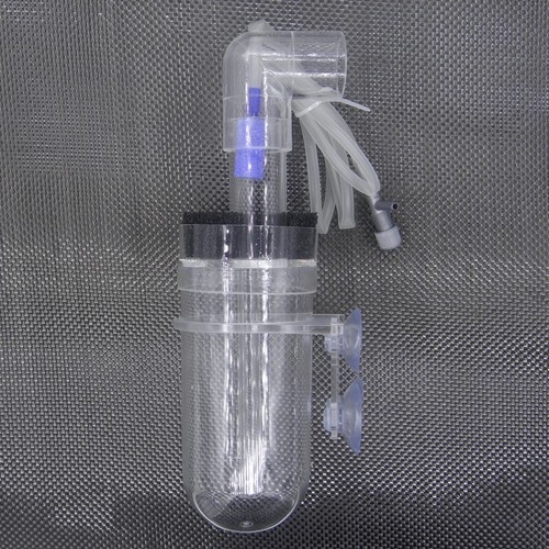 Acquatici pesci uovo tumbler - pesci,