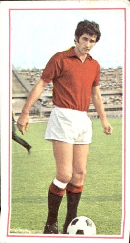 Figurina calciatori panini - figurina,