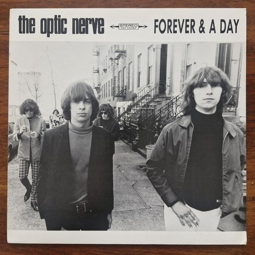 The optic nerve forever a - &,