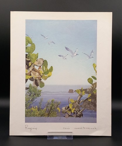 Litografia originale firmata - litografia,