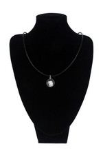 Akita Giapponese. Collana