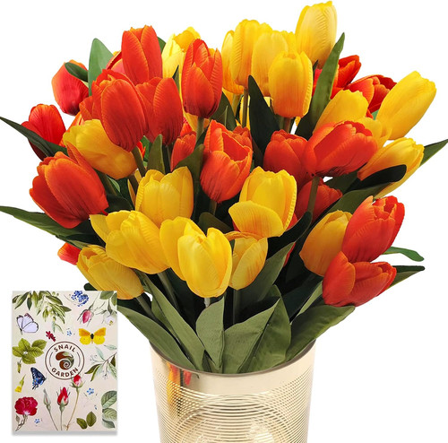 Set tulipani - 36,