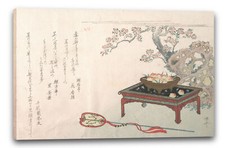 Tela/Cornice Rykrykkyo Shinsai