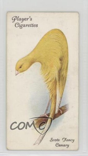 1933 giocatore aviaria - 1933, e