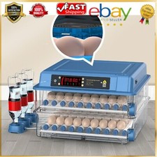 Incubatrice digitale