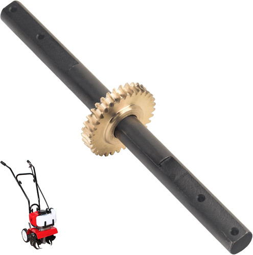 4651 gruppo denti albero - denti,