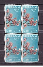 FRANCOBOLLI Somalia AFIS 1956