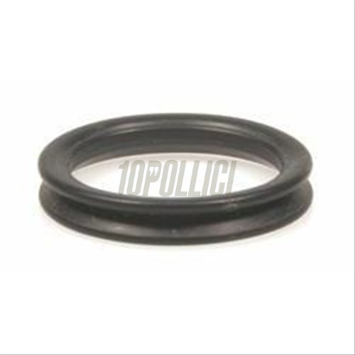 O-Ring perno forcella
