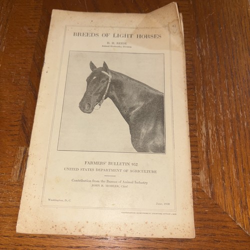 1918 breeds light horses - horses, /