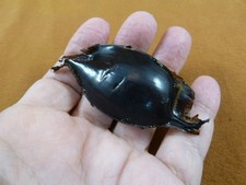 (s800-169) TAPPETO ARRUGGINITO