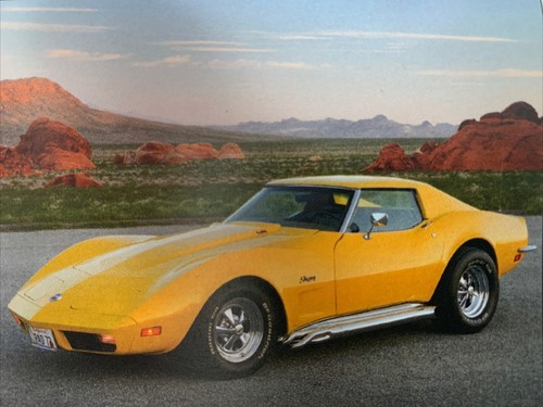 1973 chevrolet corvette - chevrolet,