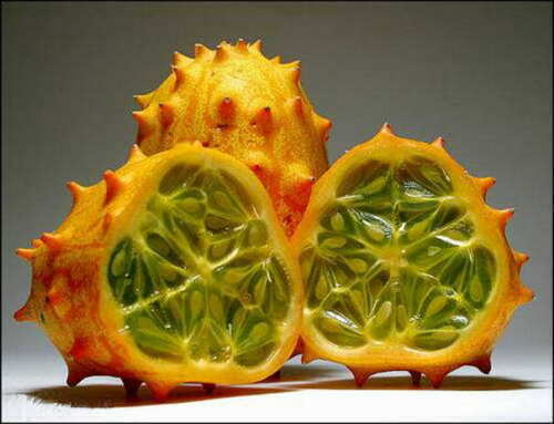 Cucumis metuliferus kiwano - cucumis,