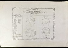 Frenologia, 1830, Rara Antica